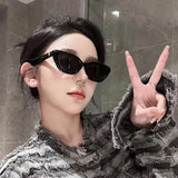 Daiiibabyyy Cat Eye Shape Sunglasses for Women Vintage Stylish UV400 Protection Men's Sunglass Holiday Travelling Outdoor Sunglasses