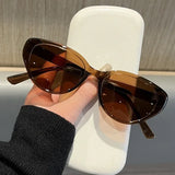 Daiiibabyyy  New Retro Small Frame Sunglasses Women Cat Eye Trendy Vintage Modern Eyewear Fashion Luxury Cycling Sun Glasses Shades