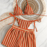 Daiiibabyyy  Stripe Mesh Three-piece Set Bikini Set Fashion Multiple Styles Multi-Color For Women's Sexy Backless Strap Triangle Cup Swimwear