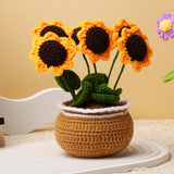 Daiiibabyyy  Crochet Flower Kit for Beginners With Video Tutorial Cotton Knitting Yarn Thread Needles Hooks DIY Tools Set Accessories