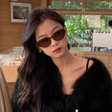 Daiiibabyyy  New Retro Small Frame Sunglasses Women Cat Eye Trendy Vintage Modern Eyewear Fashion Luxury Cycling Sun Glasses Shades
