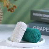 Daiiibabyyy Crochet Hanging Plant Kit for Beginners With Instruction Knitting Yarn Thread Needles Hooks Easy Knit Accessories Set