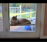 Pet Cat Bed Hammock For Cats Hanging Beds Sunny Window Seat Bearing 20kg Hammock For Cats Comfortable Cat Bed Shelf Seat Beds daiiibabyyy