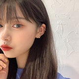 S925 Sterling Silver earrings for women Zircon Earrings trendy 2022 Jewelry wholesale daiiibabyyy