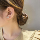 New Earrings for Women S925 Silver Needle Hot Sale Hole Piercing Brilliant Crystal Zircon Gold Chain Earring Jewelry Wholesale daiiibabyyy