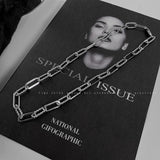 2022 High Quality Clavicle Blade Statement Women Gold Silver Color Stainless Steel 50+5cm Snake Choker Necklace Chains daiiibabyyy