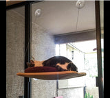 Pet Cat Bed Hammock For Cats Hanging Beds Sunny Window Seat Bearing 20kg Hammock For Cats Comfortable Cat Bed Shelf Seat Beds daiiibabyyy
