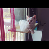 Pet Cat Bed Hammock For Cats Hanging Beds Sunny Window Seat Bearing 20kg Hammock For Cats Comfortable Cat Bed Shelf Seat Beds daiiibabyyy