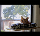 Pet Cat Bed Hammock For Cats Hanging Beds Sunny Window Seat Bearing 20kg Hammock For Cats Comfortable Cat Bed Shelf Seat Beds daiiibabyyy