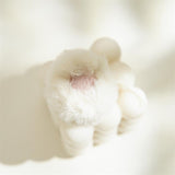 New Arrived 3D Cartoon Animal Hair Clip Plush Hair Clips Ear Catch Clips Three-dimensional Hair Clips Korean Hair Accessories daiiibabyyy
