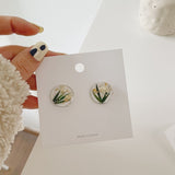 2022 New Arrival Creative Plant Dry Flower Stud Earrings For Girl Transparant Round Acrylic Fresh Spring Summer Ear Jewelry