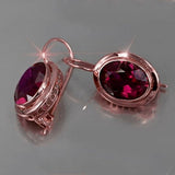 Exquisite Women Fashion Silver and Gold Color Inlaid Red Stone Crystal Drop Earrings for Women Bridal Engagement Wedding Jewelry daiiibabyyy