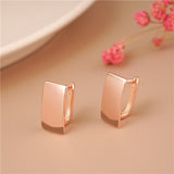 Creative Personality Gold Color Women's Earrings Metal Geometry Shiny Rectangular Glossy Earrings for Women Engagement Jewelry daiiibabyyy