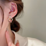 Daiiibabyyy  New Fashion Designers Crystal Earrings For Women Korean Style Delicate Simple Temperament Jewelry Wholesale
