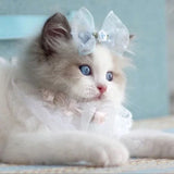 2022 New Puppy Dog Cats Clothes Retro Fashion Pearl White Lace Sling Princess Dresses For Small Medium Dog Coats Pet Clothing daiiibabyyy