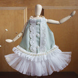 2022 New Puppy Dog Cats Clothes Retro Fashion Pearl White Lace Sling Princess Dresses For Small Medium Dog Coats Pet Clothing daiiibabyyy