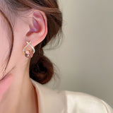 Daiiibabyyy  New Fashion Designers Crystal Earrings For Women Korean Style Delicate Simple Temperament Jewelry Wholesale