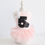 Rose Luxury Dog Clothes Dress Winter Thick Princess Bow Wedding Little Small Animals Pet Cat Costume Skirt For Terrier York Pugs daiiibabyyy