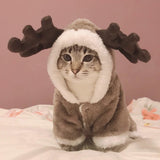 Winter Cat Clothes Warm Fleece Pet Costume For Small Cats Kitten Jumpsuits Clothing Cat Coat Jacket Pets Dog cat clothes funny daiiibabyyy
