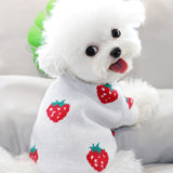 Autumn/Winter Pet Strawberry Print Sweater Small Dog Cat Teddy Bichon Hiromi Schnauzer Yorkshire Poodle Dog Clothes daiiibabyyy