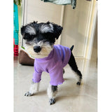 Pet Bottoming Shirt Teddy Warm Sweater Puppy Solid Color Clothes Knitted Pet Pullovers Pet Dog Clothes daiiibabyyy