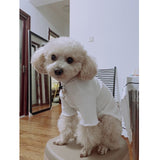 Pet Bottoming Shirt Teddy Warm Sweater Puppy Solid Color Clothes Knitted Pet Pullovers Pet Dog Clothes daiiibabyyy