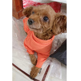 Pet Bottoming Shirt Teddy Warm Sweater Puppy Solid Color Clothes Knitted Pet Pullovers Pet Dog Clothes daiiibabyyy