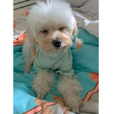 Pet Bottoming Shirt Teddy Warm Sweater Puppy Solid Color Clothes Knitted Pet Pullovers Pet Dog Clothes daiiibabyyy