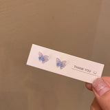 Fashion Fairy Stereo Butterfly Earrings Set Combination Small Simple Niche Design Online Celebrity Hypoallergenic Earrings daiiibabyyy