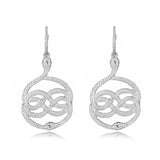 Female Unusual Earring Dragon Long Earrings for Women High-grade Metal Personality Pendant Unique Temperament Jewelry Party Gift daiiibabyyy