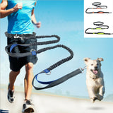 2021 New Reflective Leash Traction Rope Pet Dog Running Belt Elastic Hands Freely Jogging Pull Dog Leash Metal  D-ring Leashes daiiibabyyy