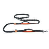 2021 New Reflective Leash Traction Rope Pet Dog Running Belt Elastic Hands Freely Jogging Pull Dog Leash Metal  D-ring Leashes daiiibabyyy