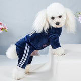 Dog Clothes Autumn Winter New Gold Velvet Four-legged Sports Leisure Clothing Teddy Clothes One-piece Jumpsuit Pet clothing daiiibabyyy