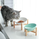 TECHOME Newest Design Pet Food Bowl Ceramic Cat Bowl With Wood Frame Bowl With Cross Frame Bevel Cat Bowl Pet Ceramic Bowl