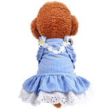 Daisy Lace Ruffle Dress Candy Color Dog Dress Cute Cat Skirt Sleeveless Dog Clothes for Small Dogs Birthday Party Pet Supplies daiiibabyyy