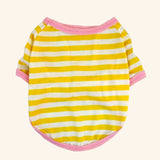 Summer Stripe Dog Tshirt Vest Pet Clothing for Small Dogs Yorkshire Terrier Shih Tzu Shirts Puppy Cat Clothes chaleco para perro daiiibabyyy