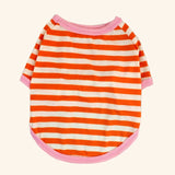 Summer Stripe Dog Tshirt Vest Pet Clothing for Small Dogs Yorkshire Terrier Shih Tzu Shirts Puppy Cat Clothes chaleco para perro daiiibabyyy