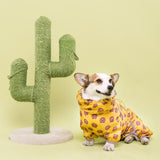 Welsh Corgi Dog Raincoat Jumpsuit Pet Clothing Waterproof Dog Clothes Golden Retriever Rain Jacket Costume Pet Outfit Rainwear daiiibabyyy