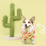 Welsh Corgi Dog Raincoat Jumpsuit Pet Clothing Waterproof Dog Clothes Golden Retriever Rain Jacket Costume Pet Outfit Rainwear daiiibabyyy