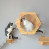 Wall-mounted Cat Climbing Frame Cat Tree Bed Space Capsule Roped Cat Bridge House Cave Sisal Scratching Post Pet Furniture