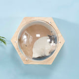 Wall-mounted Cat Climbing Frame Cat Tree Bed Space Capsule Roped Cat Bridge House Cave Sisal Scratching Post Pet Furniture daiiibabyyy