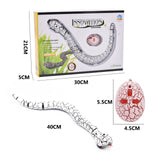 RC Remote Control Snake Toy For Cat Kitten Egg-shaped Controller Rattlesnake Interactive Snake Cat Teaser Play Toy Game Pet Kid daiiibabyyy