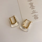 Flashbuy New Trendy Transparent Resin Hoop Earrings for Women Girls Geometric Irregular Metal Acrylic Earrings Party Jewelry daiiibabyyy