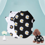 Summer Dog Clothes Puppy Pet Clothes Fashion Clothing For Small Medium Dogs Pets Clothing Cat Dog Coat Jacket York Chihuahua Pug
