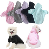 Solid Cat Dog Hoodies Pet Clothes for Small Dogs Pet Clothing Coat Jackets Sweatshirt for Chihuahua Doggie Cotton Pet Outfits daiiibabyyy